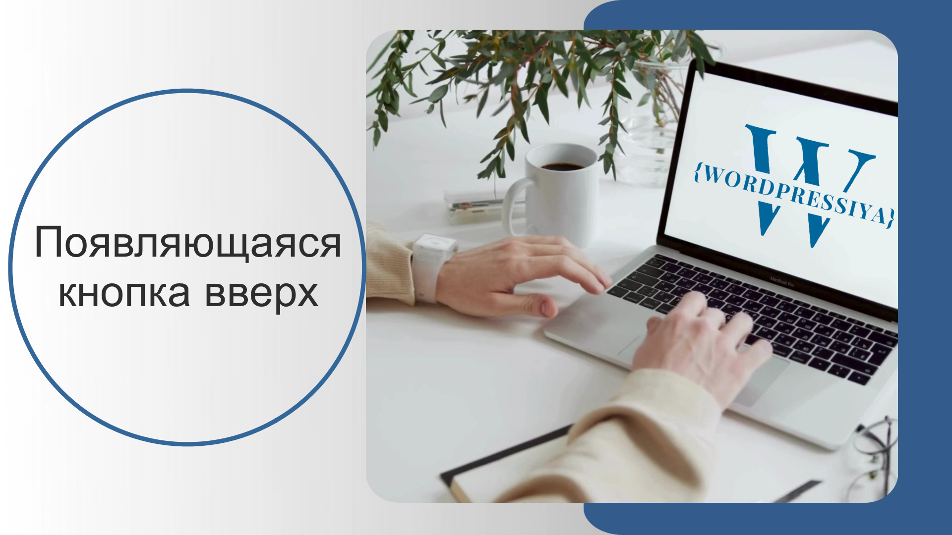 Появляющаяся кнопка вверх в elementor смотреть онлайн