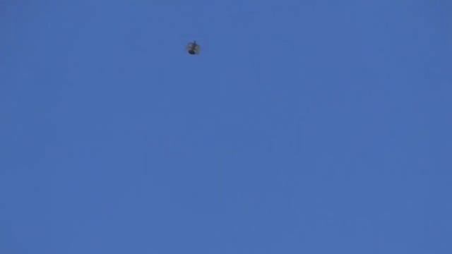 Бойные голуби 16.03.2020 смотреть онлайн