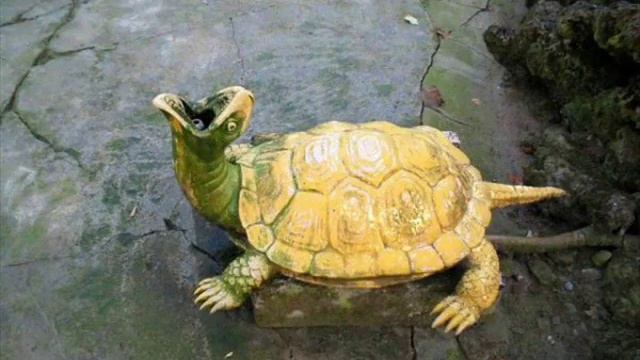 Смешные черепахи смотреть онлайн