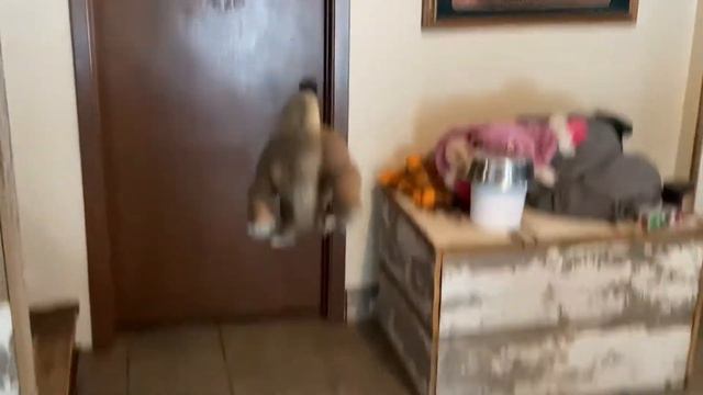 Jonathan gets his exercise смотреть онлайн