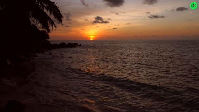 А. Ракицкий. Дзен медитация. ASMR. Сейшелы. Шум океана, звуки волн для релаксации и сна. смотреть онлайн