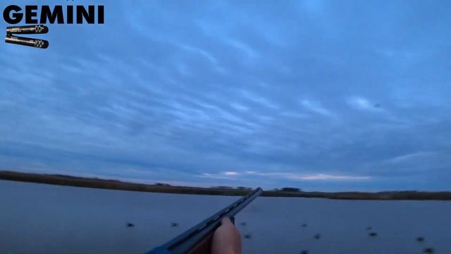 ОХОТА НА УТКУ С ЧОКАМИ Gemini LM 0,38 . ЭТО НУЖНО ВИДЕТЬ https://t.me/ohota_stendovaya_strelba смотреть онлайн