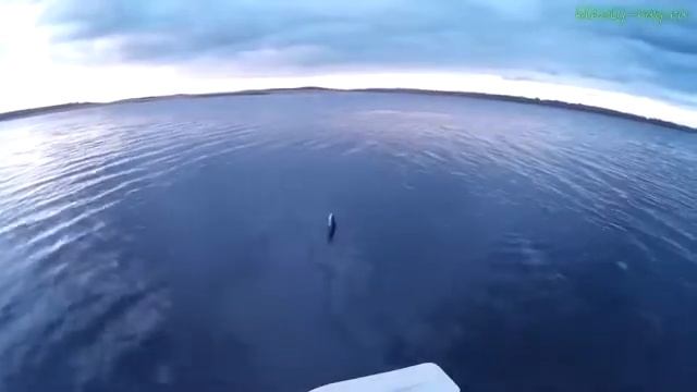 Рыбалка в Беларуси на Браславских озерах День 1 смотреть онлайн