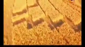 НЛО рисунки на полях самые шокирующие гипотезы 2023