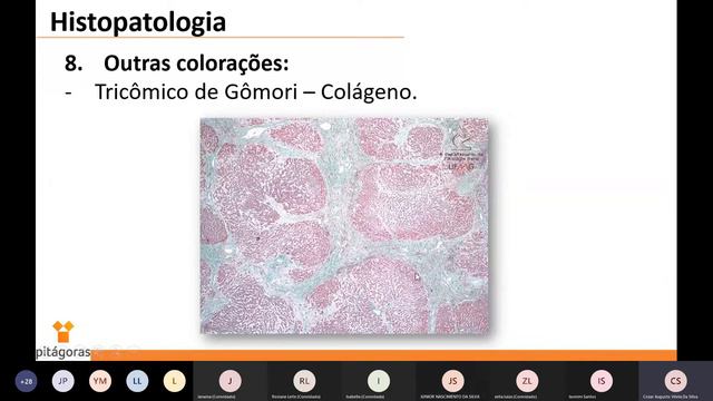 Patologia Geral - Aula 01 смотреть онлайн