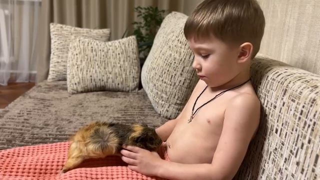 Начало знакомства смотреть онлайн