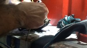 плохо крутит стартер, заводится на "ГОРЯЧУЮ" Ланос . решения проблемы