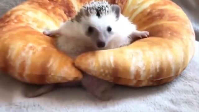 пути мучное пути смотреть онлайн