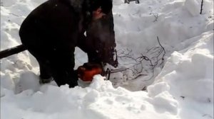 Бумер - Не плачь