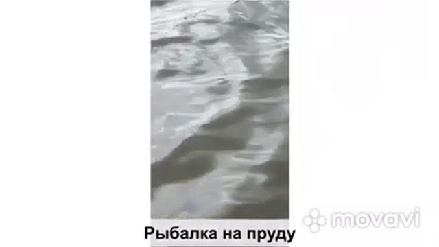 Рыбалка на тайном пруду. Карась клюет без остановки. смотреть онлайн