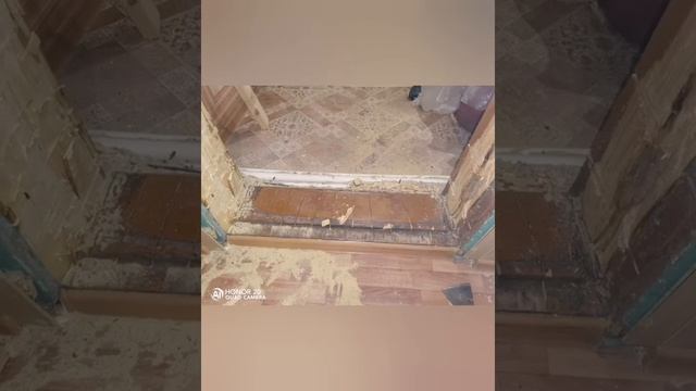 Вот что вас ждёт при замене дверей в деревне. Я это прошел уже много раз. смотреть онлайн