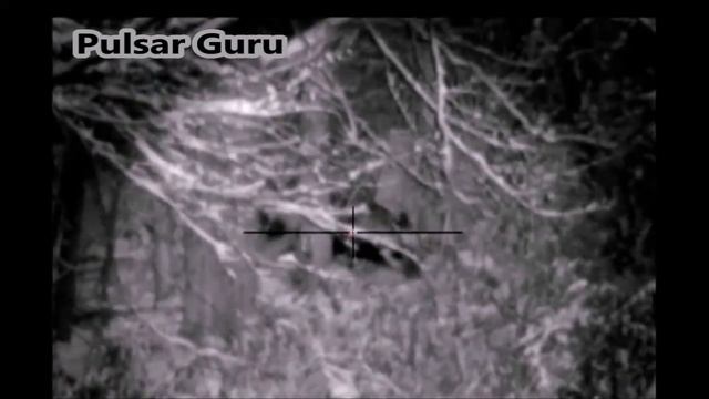 Pulsar Digisight LRF N960 смотреть онлайн