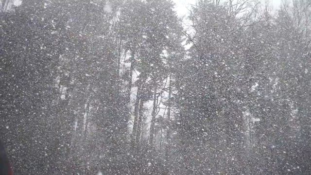 ❄❄❄падает снег/фоновая заставка ❄❄❄ на телевизор смотреть онлайн
