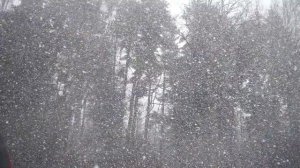 ❄❄❄падает снег/фоновая заставка ❄❄❄ на телевизор