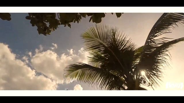 Aya Nakamura & VOLAC - Pookie ( Aveiiro Mashup ) смотреть онлайн