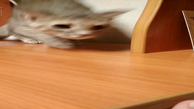 Широкая Соня увидела палец ренбоксера а потом вспомнила что пальцы грчзнац.mp4 смотреть онлайн