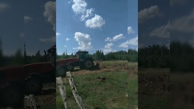 Вот так выглядит наша работа в лесу смотреть онлайн