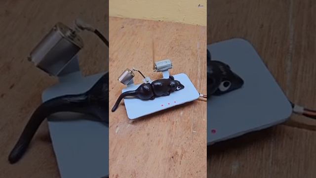 мышеловка с конструкцией бдсм смотреть онлайн