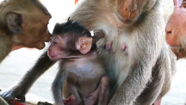 Little Baby Calling Mummy To Come Back смотреть онлайн