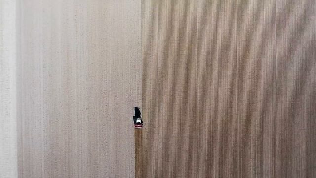 Посадка чеснока пневматической сажалкой PLNA JJ BROCH смотреть онлайн