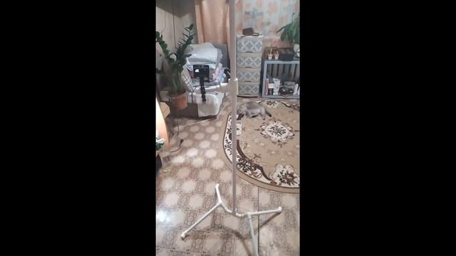 штатив для камеры своими руками DIY camera tripod смотреть онлайн