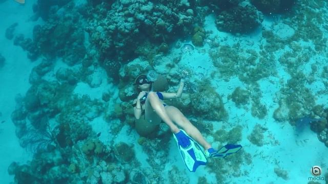 IBIZA SUMMER MIX 2021🍓Best Of Tropical Deep House Music Chill Out Mix