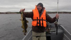 Рыбалка на треску и КИТЫ белухи на Белом море.