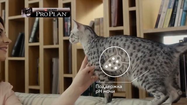 Purina Pro Plan. Ваш питомец - наше вдохновение!
