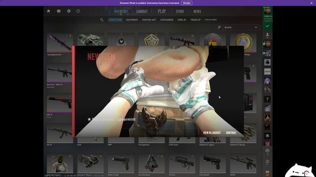 CS2 BUG REVIEW - BEST BUG YET!?? смотреть онлайн