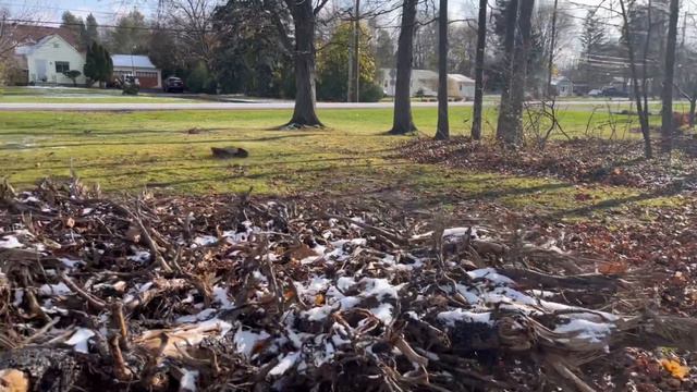 “Getting Muddy”! Traxxas E-Revo 2.0 EPIC MUD Bash! смотреть онлайн