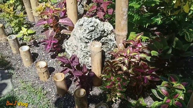 Mga bagay na kinonsider ko sa pagtanim ng 30 varieties ng mayana sa DIY garden landscape ko|Alamin смотреть онлайн
