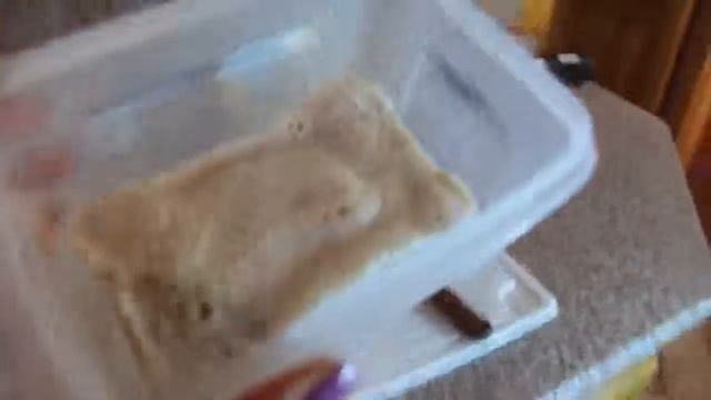 Сырники с вишневым соусом