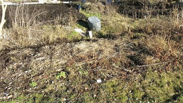 ВЛОГ #3 "КРОКУСЫ" / Всходы в теплице, разговор по душам:) смотреть онлайн