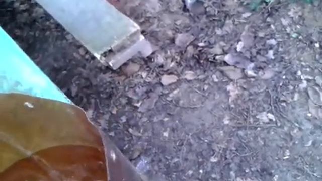 Бутылочно-малоформатная пасека для пенсионеров,инвалидов,женщин, детей в Ялте. смотреть онлайн