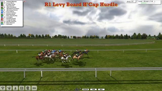 NH WK8 R1 Levy Board H'Cap Hurdle смотреть онлайн