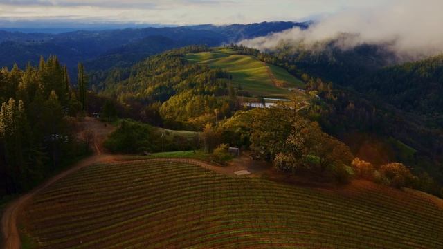 Sonoma Horizon [4K] - New MacOS Sonoma Wallpaper / Screensaver