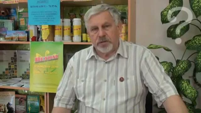 Жданов о Ветоме смотреть онлайн