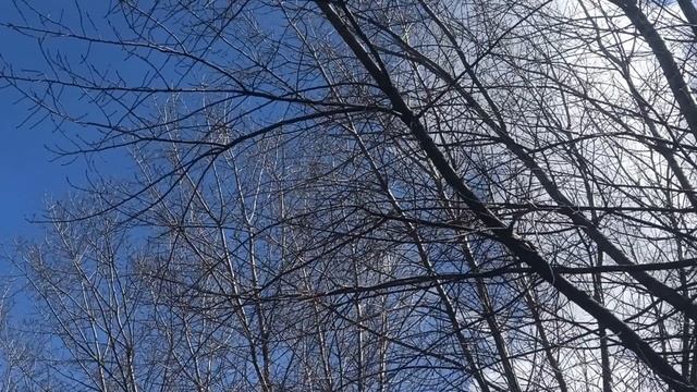 5 мая народный праздник День Луки. Народные приметы и традиции. Запреты дня. смотреть онлайн