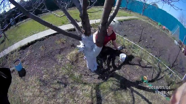 Покраска деревьев на даче смотреть онлайн