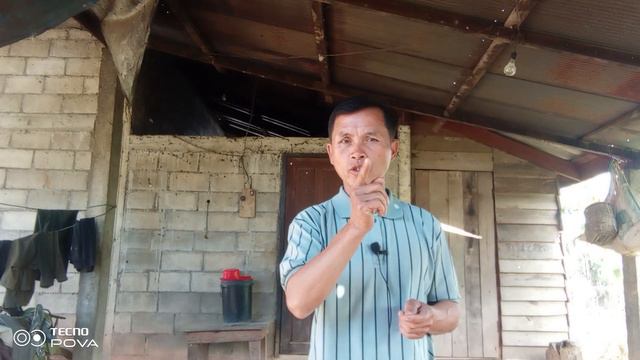 pov thoj ghiav kom xyaum ua neeg zoo смотреть онлайн