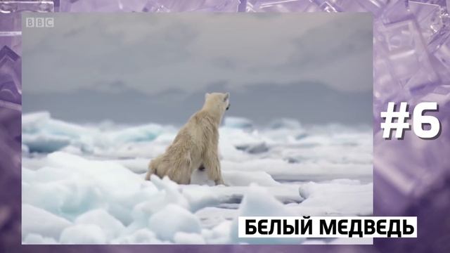 10 НЕВЕРОЯТНЫХ СООРУЖЕНИЙ ИЗ ЛЕГО смотреть онлайн