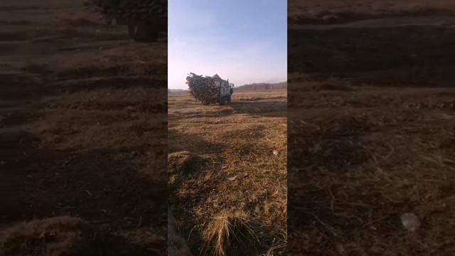 СВИНАРНИК своими руками. #КанадскаяТехнология
#Как_Построить_Свинарник
