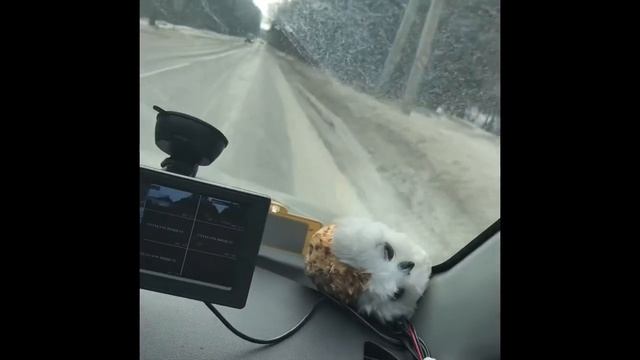 экзаменационный маршрут гибдд на Обручева Воронеж экзамен гибдд смотреть онлайн