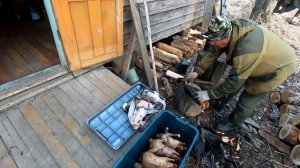 Весенняя охота. Гусь. Часть 4