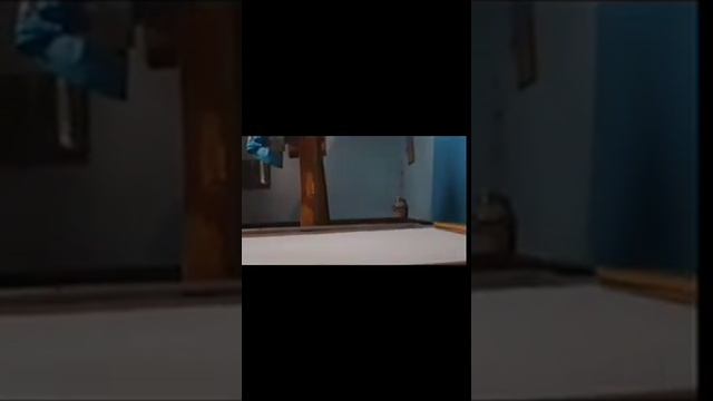 Как заменить своими руками сломанное стекло в душевой кабинке. смотреть онлайн