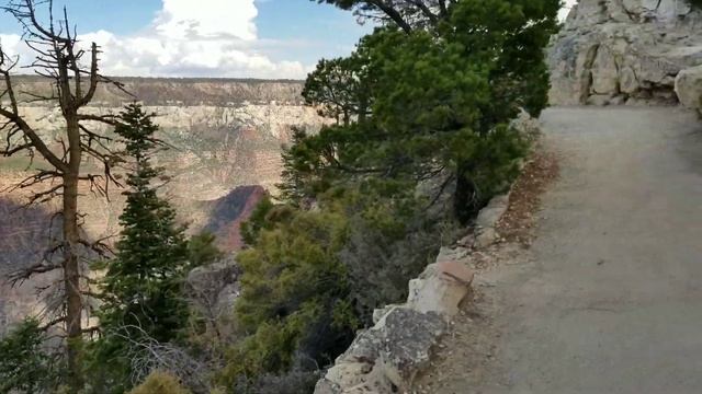 THE GRAND CANYON | NORTH RIM | Exploring Natural Wonders of the World |Grand Canyon National Park A смотреть онлайн