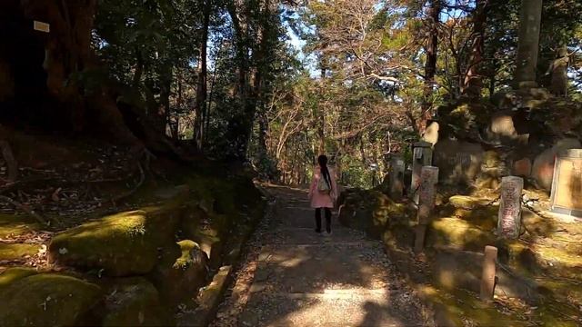 Японский храм где цветут сливы, а в озере живут огромные карпы. смотреть онлайн