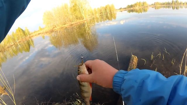 ДОЛГОЖДАННЫЕ ОКУНИ МОНСТРЫ НА МИКРОДЖИГ! ЛОВЛЯ КРУПНОГО ОКУНЯ НА УЛЬТРАЛАЙТ смотреть онлайн