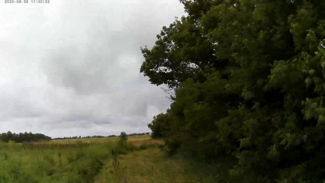 ПОКАТУШКИ НА МОПЕДЕ ДЕЛЬТА!!! смотреть онлайн