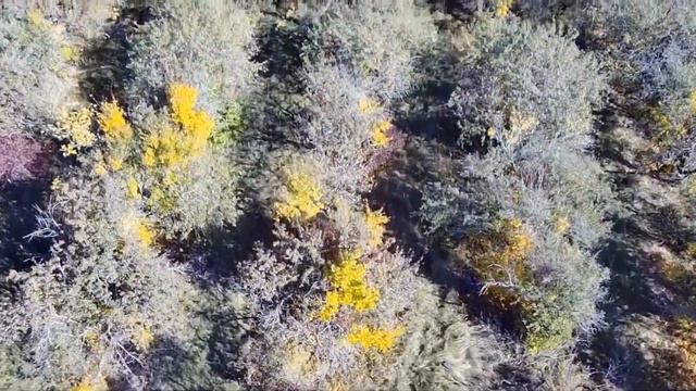 Влог как у меня дела жизнь сейчас может быть хуже